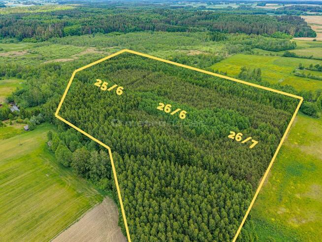Las inwestycyjny 9,5 ha 770 m³ drewna