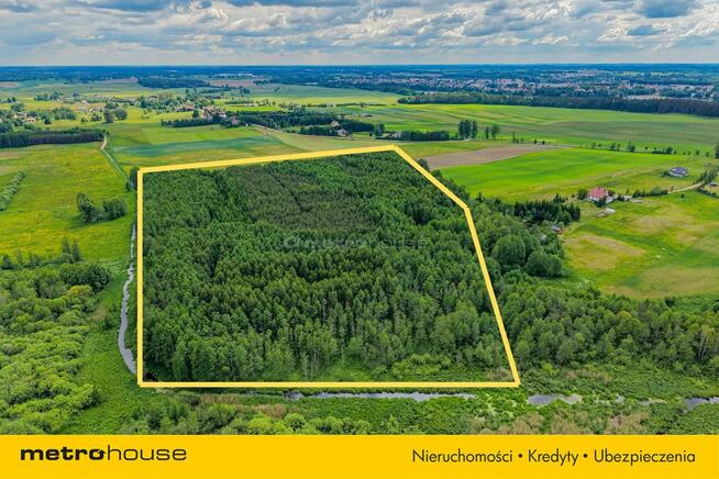 Las inwestycyjny 9,5 ha 770 m³ drewna