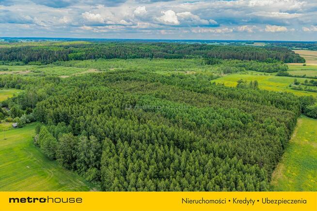 Las inwestycyjny 9,5 ha 770 m³ drewna