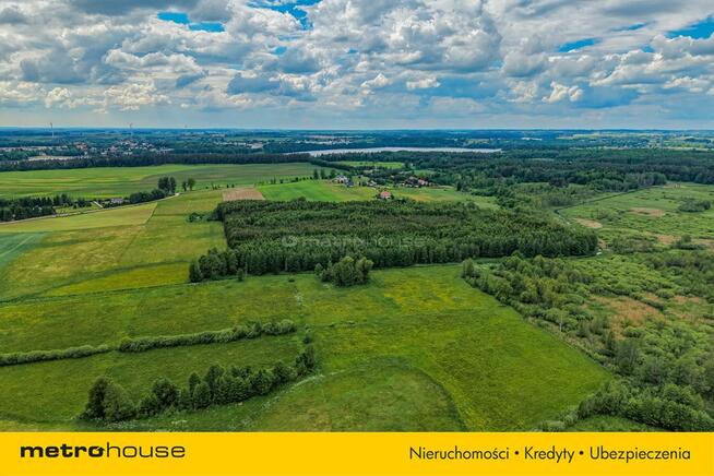 Las inwestycyjny 9,5 ha 770 m³ drewna
