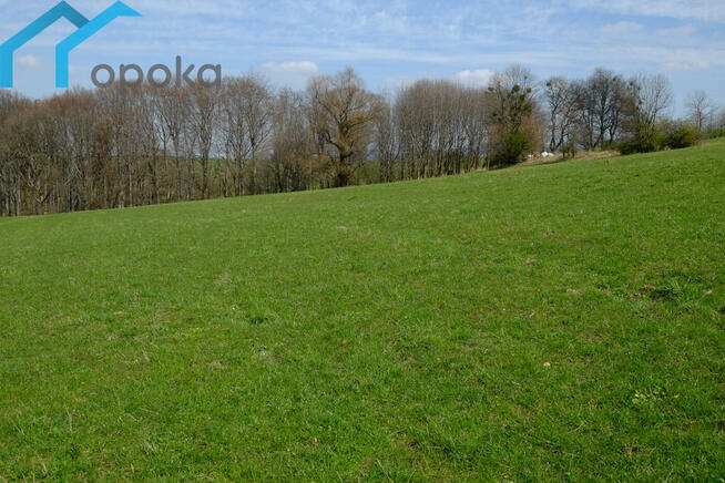 Działka rolna Leszna Górna gm. Goleszów