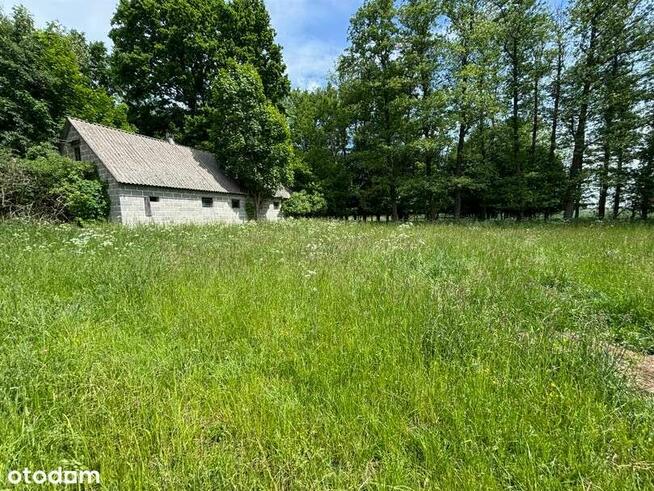 Rezerwacja/Siedlisko pod lasem, 4,81 ha, Puszcza Biała