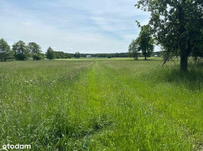 Rezerwacja/Siedlisko pod lasem, 4,81 ha, Puszcza Biała