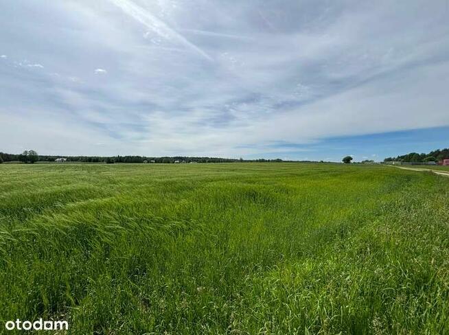 Rezerwacja/Siedlisko pod lasem, 4,81 ha, Puszcza Biała