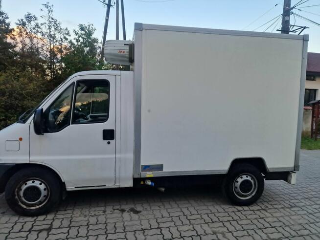 Citroën jumper 2.5d chłodnia izoterma kontener agregat 230V