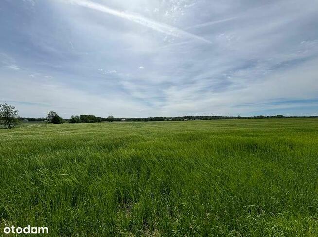 Rezerwacja/Siedlisko pod lasem, 4,81 ha, Puszcza Biała