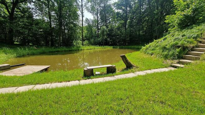 Domek do wynajęcia domek letniskowy w lesie nad stawem