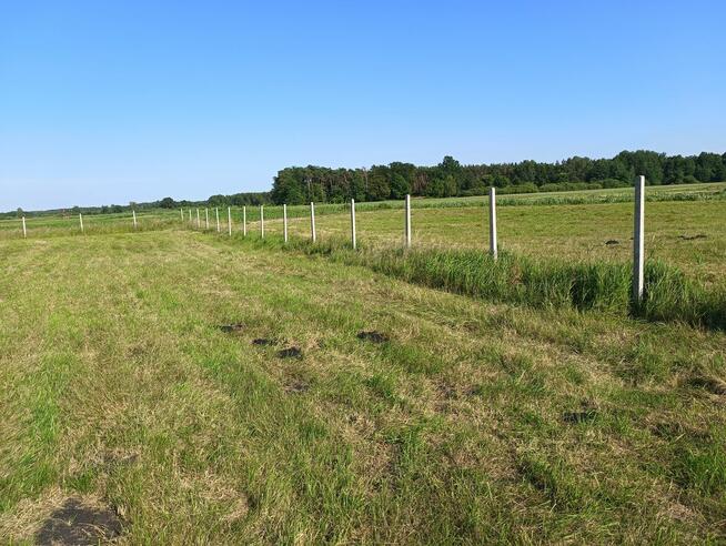 Działka 2998m2 koło Bydgoszczy