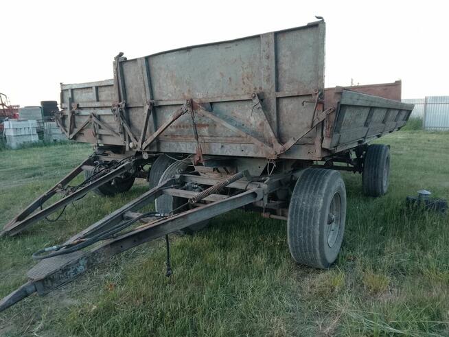 Przyczepa wywrotka hl8011 dowóz