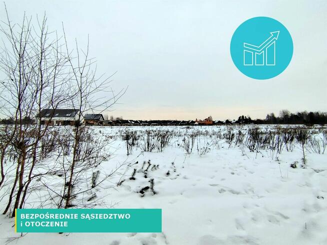 SKRYBICZE - HIT DLA KONESERÓW CISZY, NATURY I PRESTIŻU