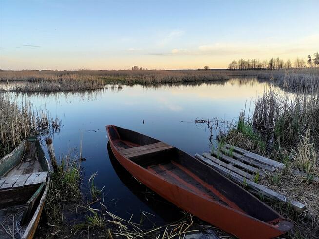 IZBISZCZE WYJĄTKOWA DZIAŁKA NAD NARWIĄ –INWESTYCJA W NATURĘ