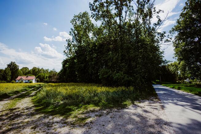 Działka budowlana Kępa Borzechowska gm. Borzechów