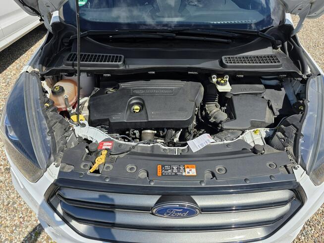 Ford Kuga 2.0 180ps 4x4 Navi Led Kamera Cofania ST-LINE Gwarancja
