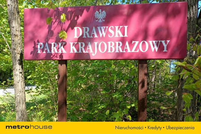 Dom w lesie blisko jeziora w Parku Krajobrazowym