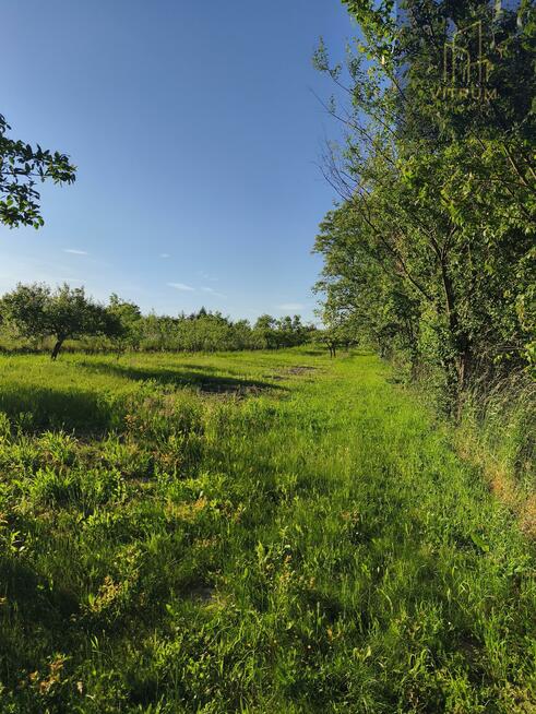 Działka rolno-budowlana Szczepanowice gm. Pleśna