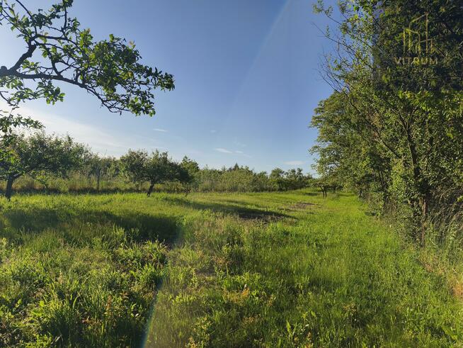 Działka rolno-budowlana Szczepanowice gm. Pleśna