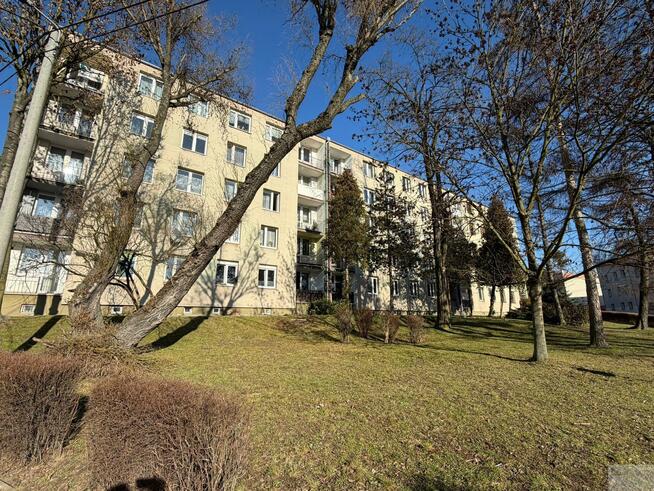 Mieszkanie Chorzów, Wiosenna