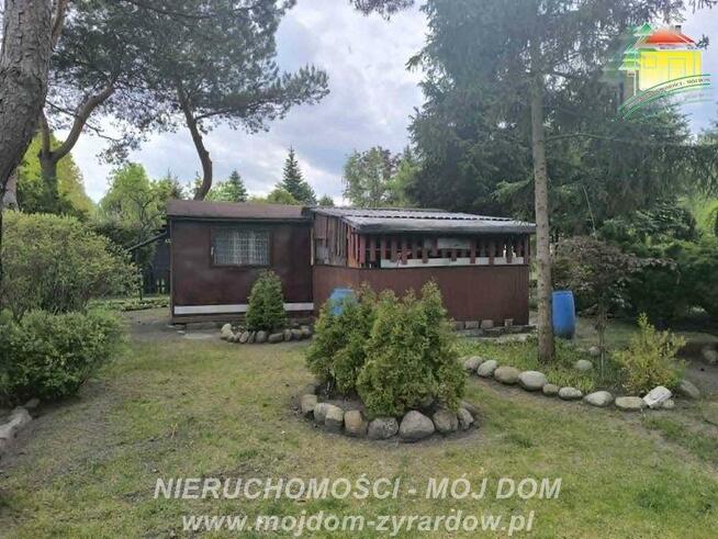 Działka Korytów gm. Radziejowice