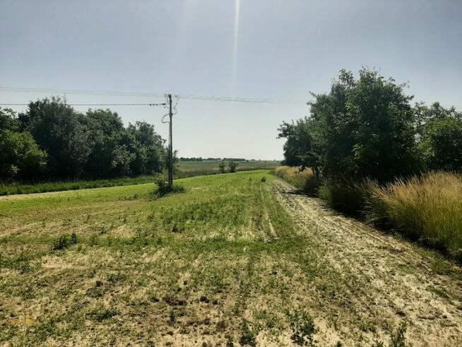 Działka rolna Krężnica Jara gm. Niedrzwica Duża,