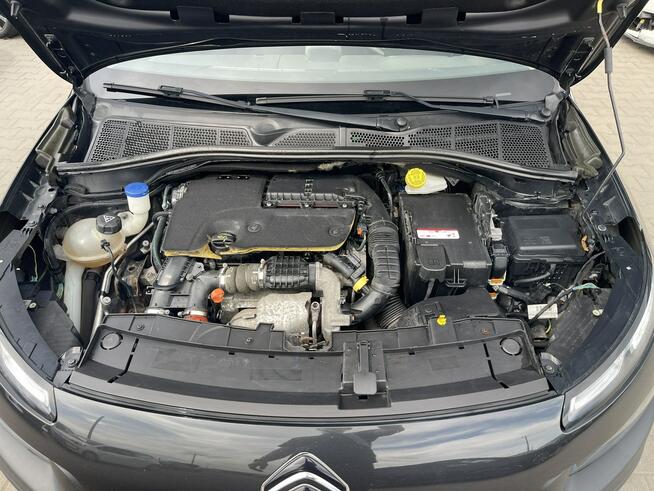 Citroen C4 Cactus Automat Klimatronik Kamera