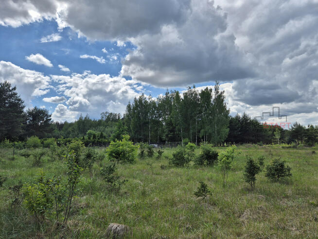 Działka budowlana Adamów-Wieś gm. Radziejowice,