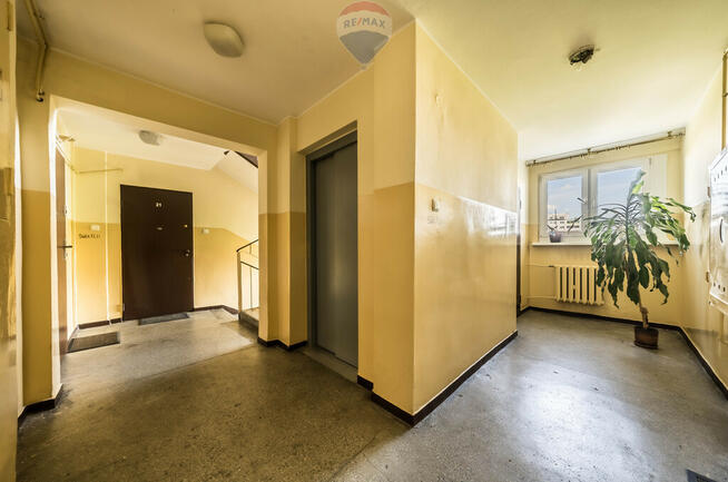Trzy pokoje winda balkon Łazarz