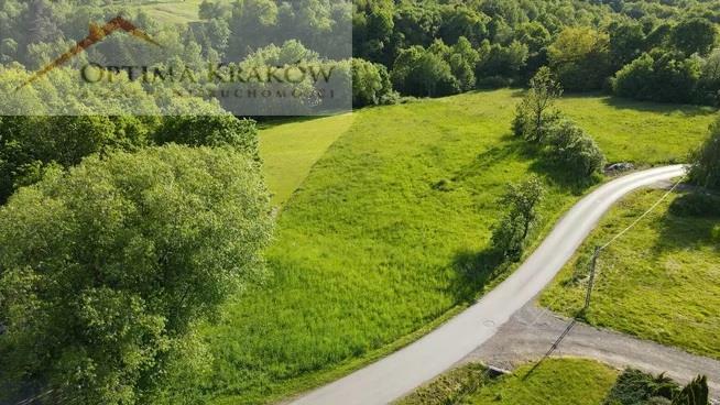 Działka rolno-budowlana Borzęta gm. Myślenice
