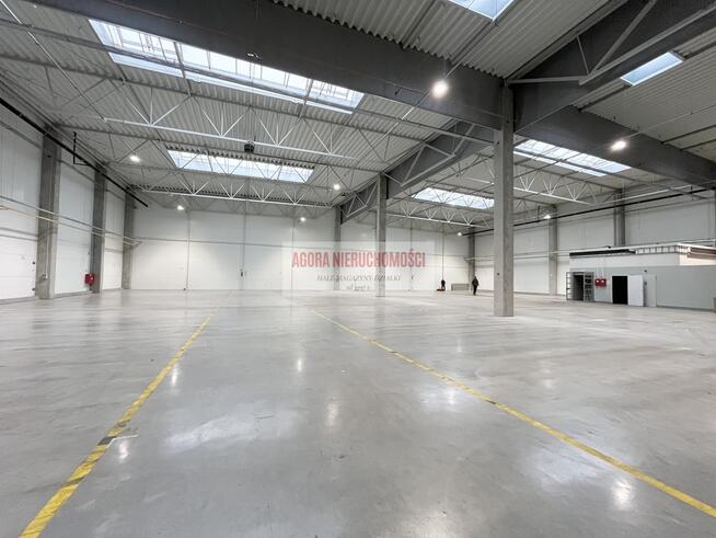 HALA PRODUKCJA 2500 M2 DOKI, BRAMY "0" Rybitwy