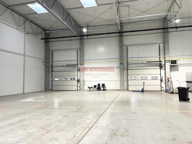 HALA PRODUKCJA 2500 M2 DOKI, BRAMY "0" Rybitwy