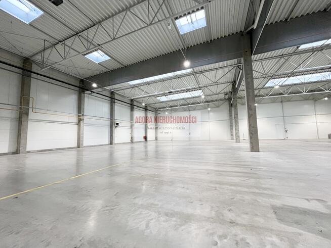 HALA PRODUKCJA 2500 M2 DOKI, BRAMY "0" Rybitwy