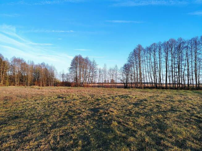 IZBISZCZE WYJĄTKOWA DZIAŁKA NAD NARWIĄ –INWESTYCJA W NATURĘ