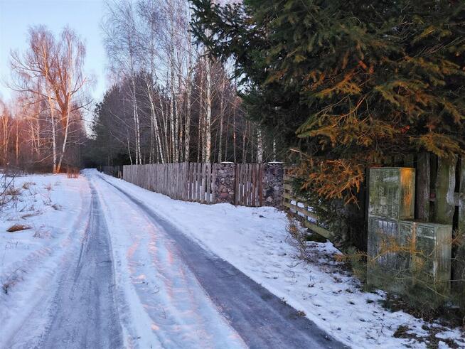 IZBISZCZE WYJĄTKOWA DZIAŁKA NAD NARWIĄ –INWESTYCJA W NATURĘ