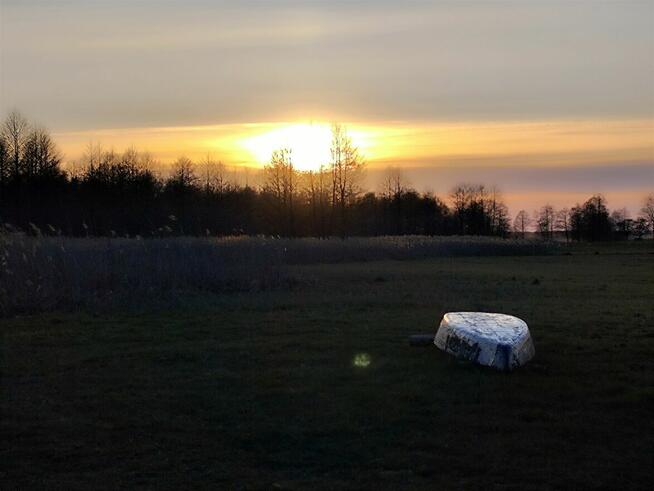 IZBISZCZE WYJĄTKOWA DZIAŁKA NAD NARWIĄ –INWESTYCJA W NATURĘ