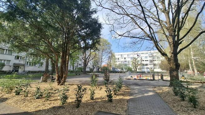 TOPOWA LOKALIZACJA! Krzyki- Borek, PRZY PARKU , balkon