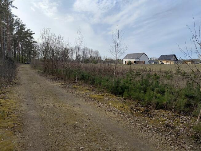 SKRYBICZE - HIT DLA KONESERÓW CISZY, NATURY I PRESTIŻU