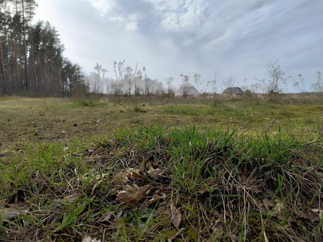 SKRYBICZE - HIT DLA KONESERÓW CISZY, NATURY I PRESTIŻU