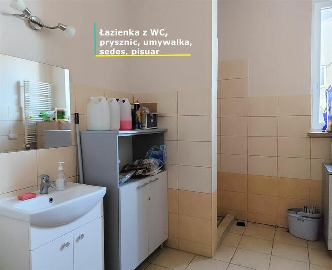 LOKAL NA WYNAJEM POROSŁY ( BIAŁYSTOK)