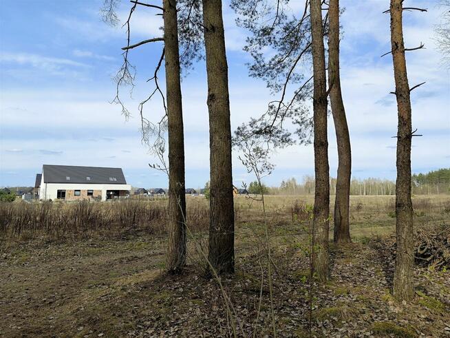 SKRYBICZE - HIT DLA KONESERÓW CISZY, NATURY I PRESTIŻU