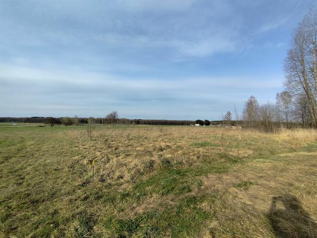 Działka Rzepniki z możliwością zabudowy