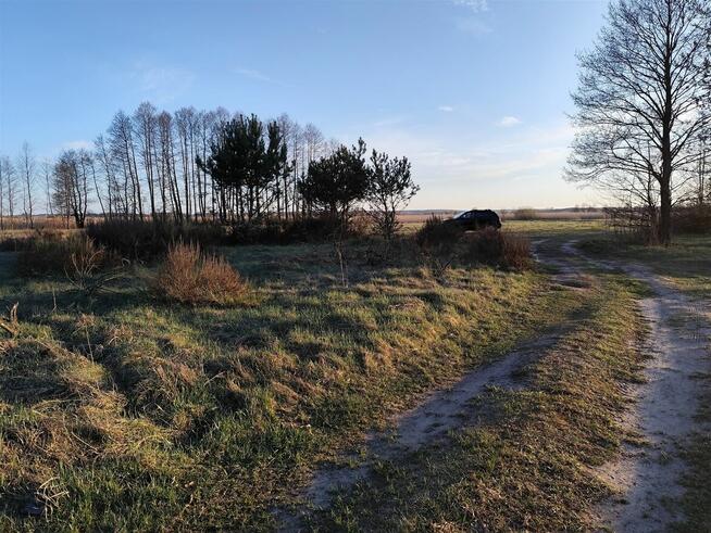 IZBISZCZE WYJĄTKOWA DZIAŁKA NAD NARWIĄ –INWESTYCJA W NATURĘ