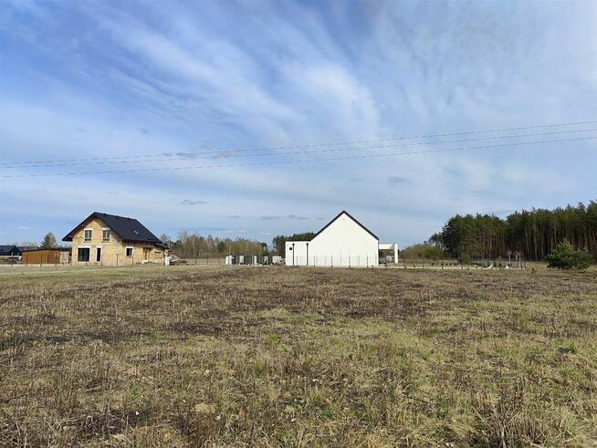 SKRYBICZE - HIT DLA KONESERÓW CISZY, NATURY I PRESTIŻU