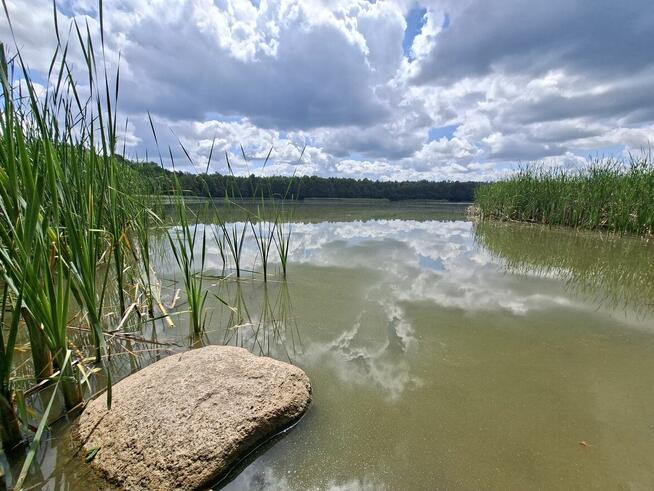 Działka dzierżawa nad jeziorem Kornelin 400 mkw.