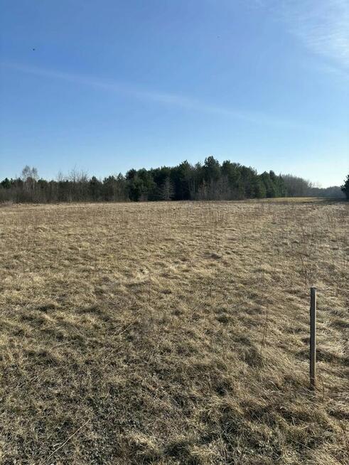 Działka budowlana 3150 m2 z warunkami zabudowy