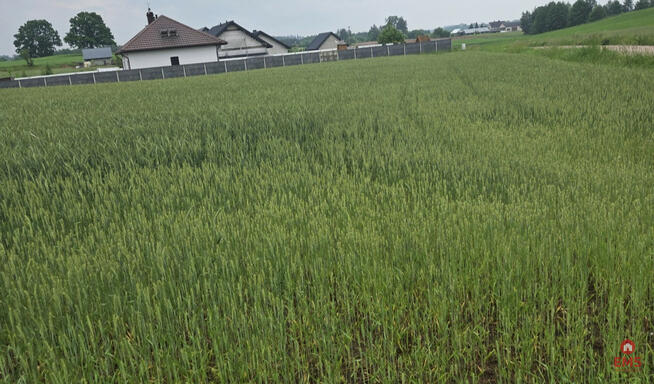 Działka rolna Okuniowiec gm. Suwałki,