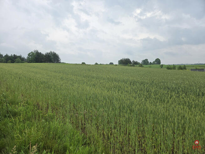 Działka rolna Okuniowiec gm. Suwałki,