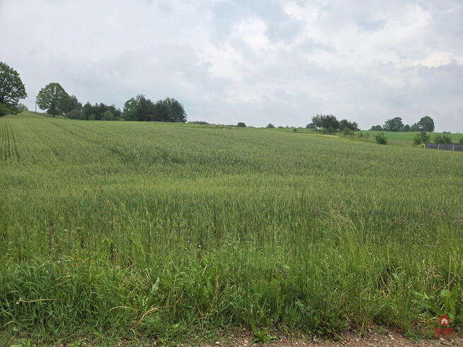 Działka rolna Okuniowiec gm. Suwałki,