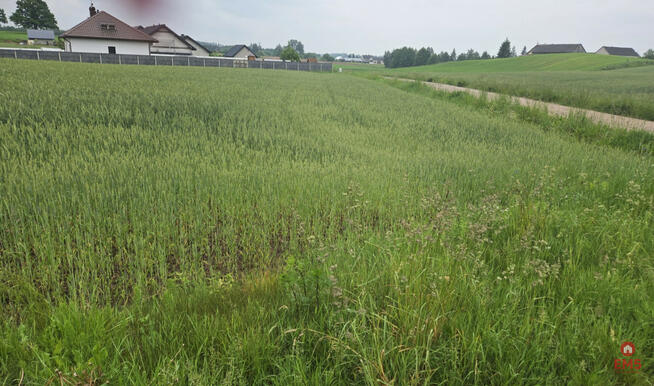 Działka rolna Okuniowiec gm. Suwałki,
