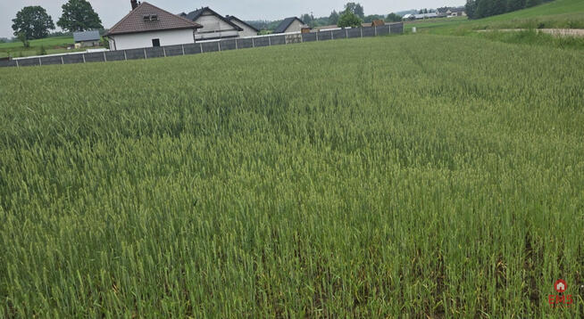 Działka budowlana Okuniowiec gm. Suwałki,