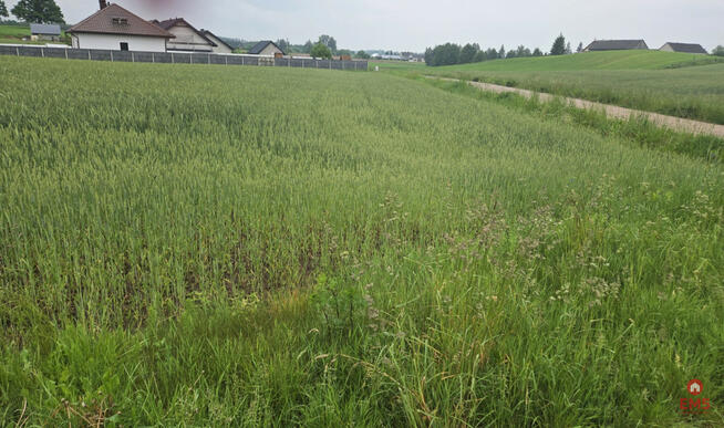 Działka budowlana Okuniowiec gm. Suwałki,