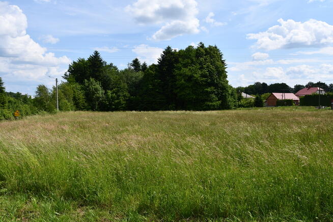 Działka budowlana 42.46a - Dylągówka
